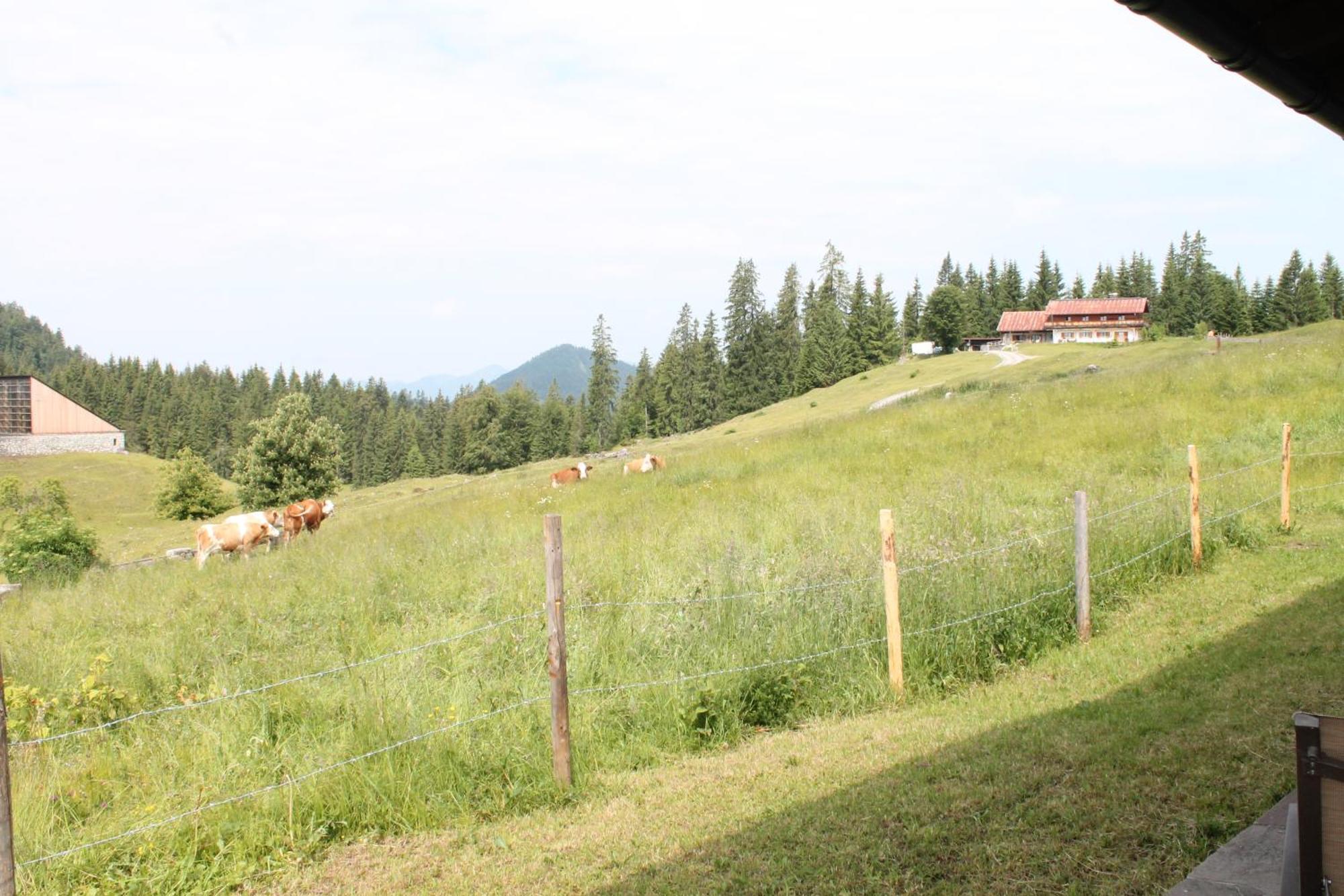 Winklmoos Sonnenalm Hotel Reit im Winkl Luaran gambar